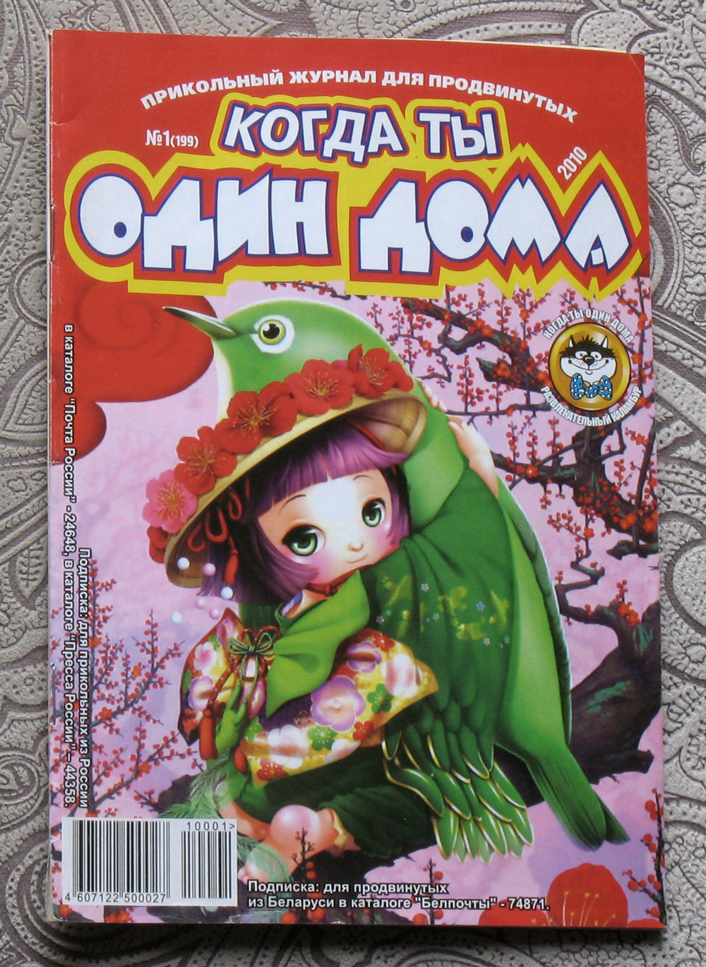 Журнал Когда ты один дома номер 1 2010. Купить в Витебске — Развлекательные  Ay.by. Лот 5033144123