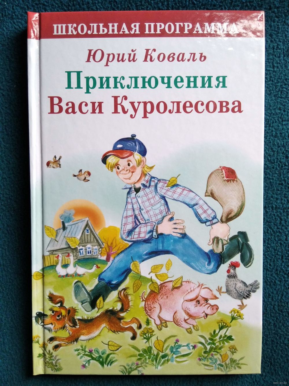 Приключения васи куролесова рисунок для читательского дневника