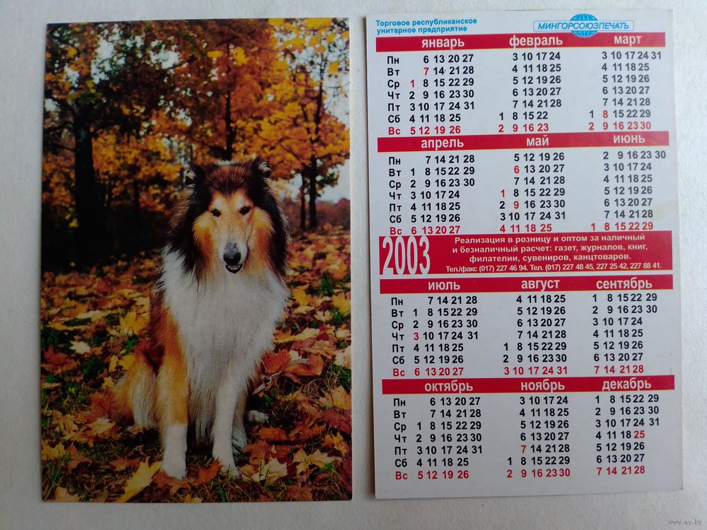 Карманный календарик 2003 год. Собака. Купить в Минске — 2001-2010 Ay.by.  Лот 5027988413