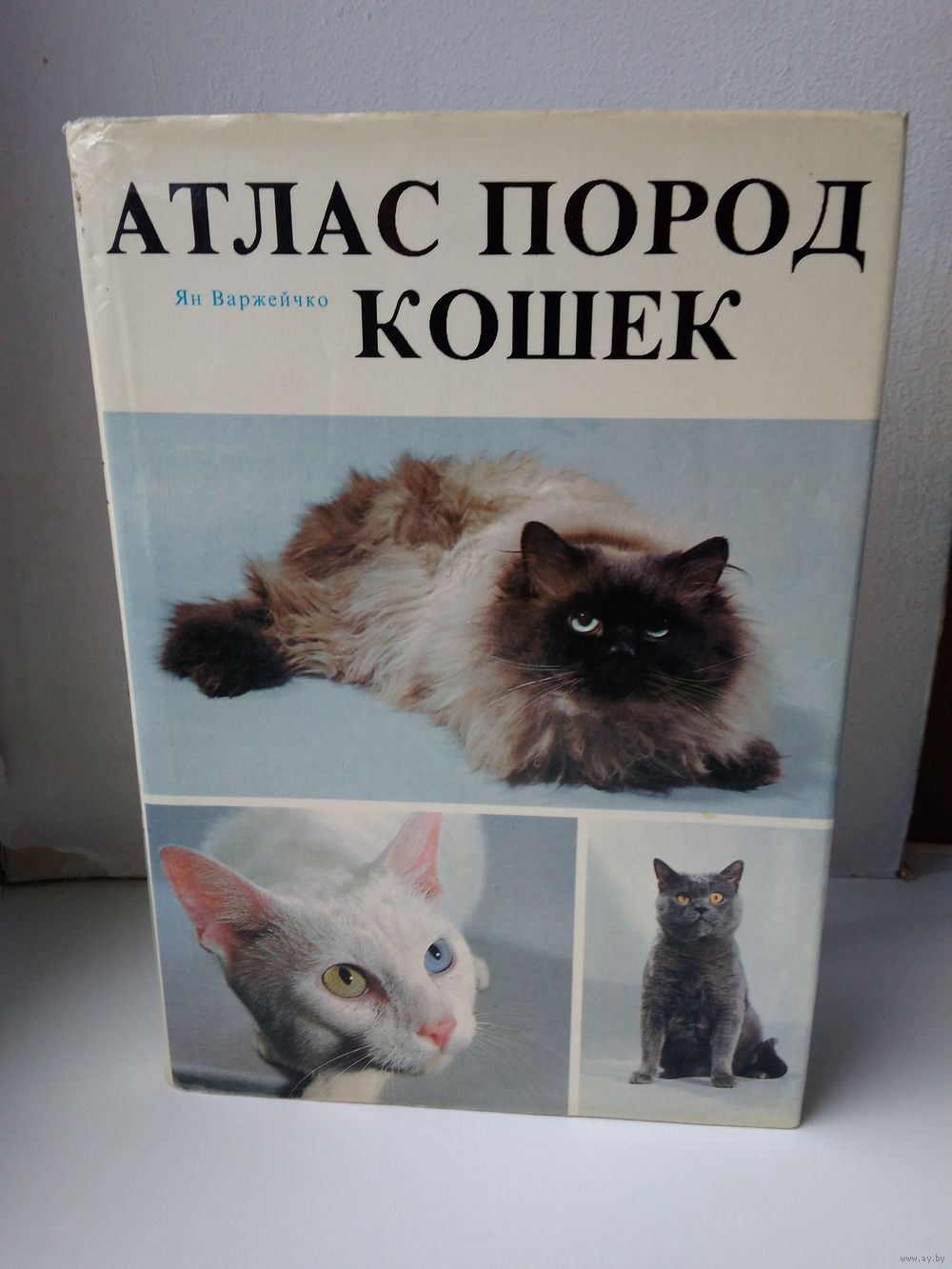 Атлас пород кошек. Купить в Бресте — Книги Ay.by. Лот 5023242743